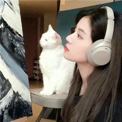 搏击芭蕾
